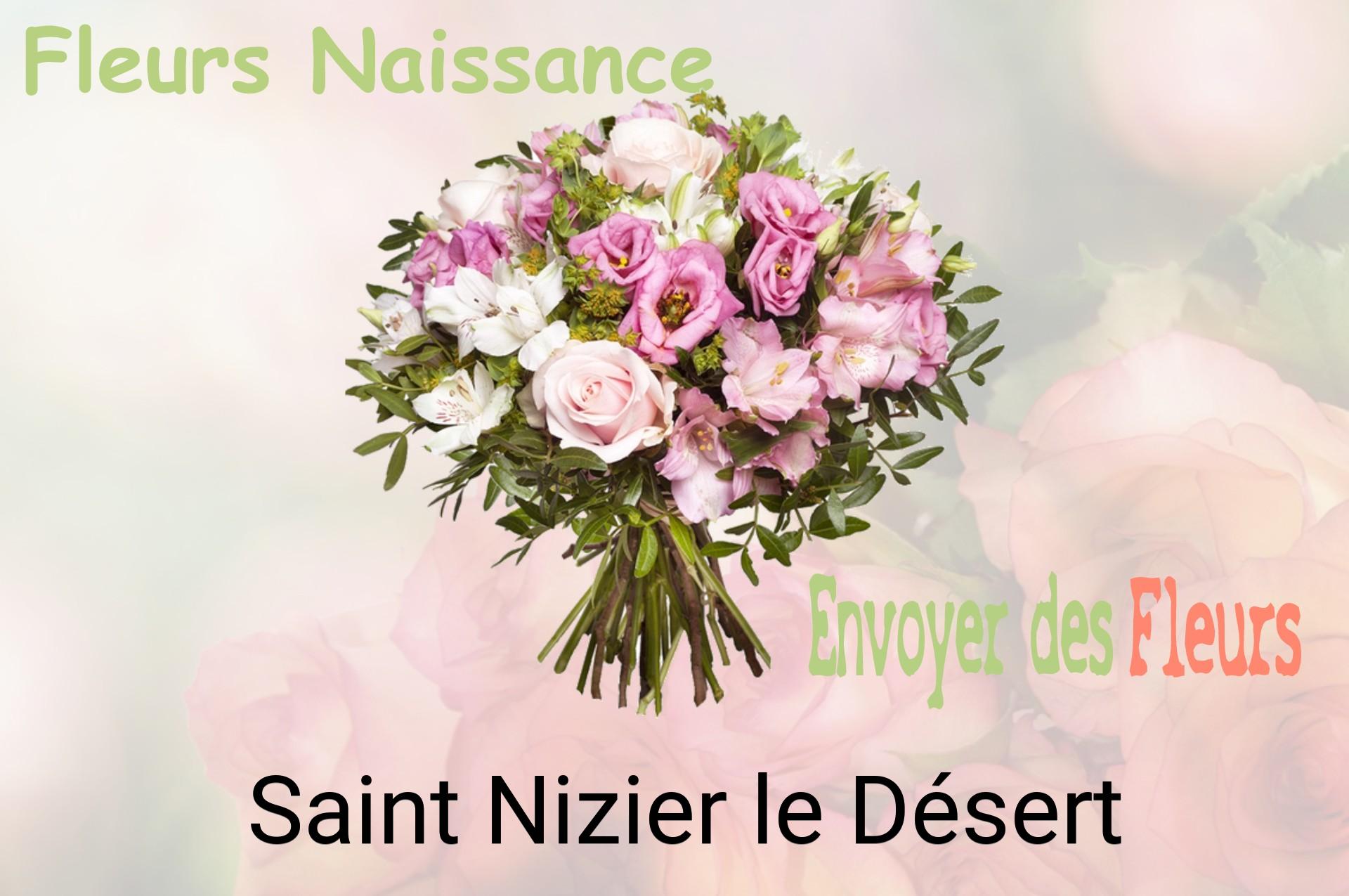 Bouquet de fleurs de naissance livré à Saint-Nizier-le-Désert